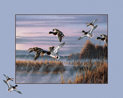 Ducks In Flight 1 Black Ornate Wood Framed Art Print with Double Matting by Goebel, Wilhelm