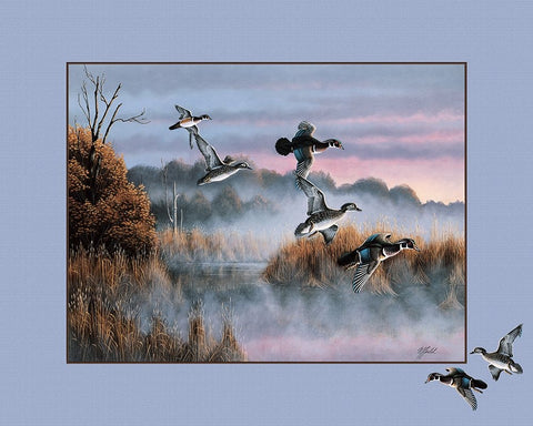 Ducks In Flight 2 White Modern Wood Framed Art Print with Double Matting by Goebel, Wilhelm