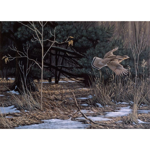 Grouse On The Wing White Modern Wood Framed Art Print by Goebel, Wilhelm