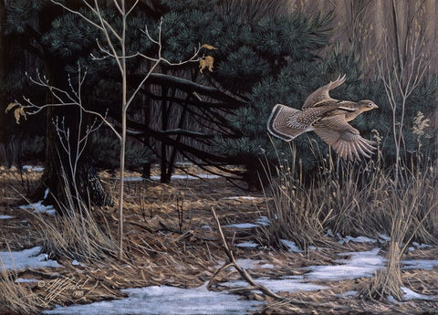 Grouse On The Wing Black Ornate Wood Framed Art Print with Double Matting by Goebel, Wilhelm