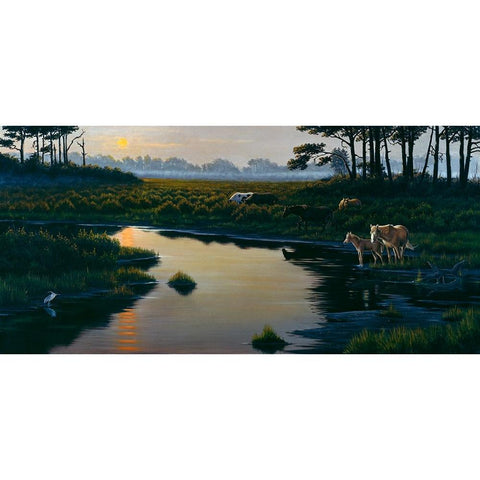 Assateague Sunset 1 Black Modern Wood Framed Art Print with Double Matting by Goebel, Wilhelm