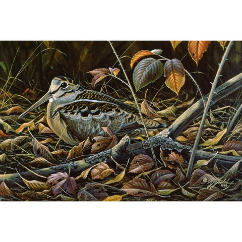 Migration Stop  - Woodcock Gold Ornate Wood Framed Art Print with Double Matting by Goebel, Wilhelm