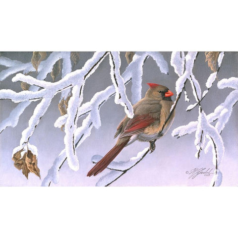 Winter Lady - Cardinal Black Modern Wood Framed Art Print by Goebel, Wilhelm