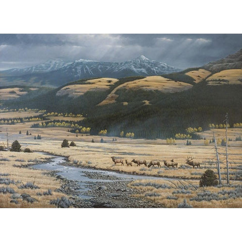 Big Valley Elk White Modern Wood Framed Art Print by Goebel, Wilhelm