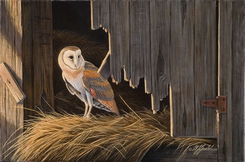Ready For The Hunt Barn Owl Black Ornate Wood Framed Art Print with Double Matting by Goebel, Wilhelm