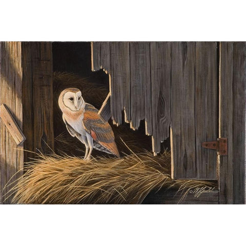 Ready For The Hunt Barn Owl Gold Ornate Wood Framed Art Print with Double Matting by Goebel, Wilhelm
