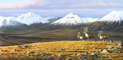 Time Passages Mountain Caribou Black Ornate Wood Framed Art Print with Double Matting by Goebel, Wilhelm