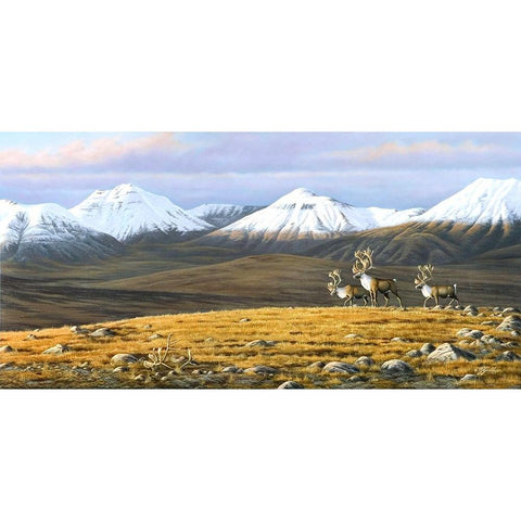 Time Passages Mountain Caribou White Modern Wood Framed Art Print by Goebel, Wilhelm