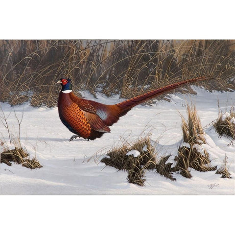 Winter Walk Pheasant Gold Ornate Wood Framed Art Print with Double Matting by Goebel, Wilhelm