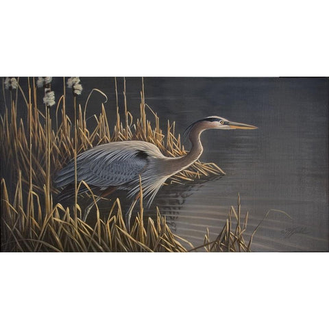 Stalking The Edge - Heron Black Modern Wood Framed Art Print with Double Matting by Goebel, Wilhelm