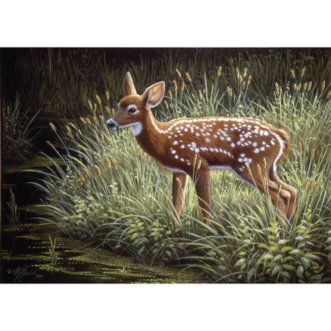 In The Tall Grass White Modern Wood Framed Art Print by Goebel, Wilhelm