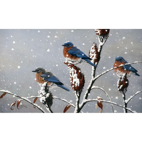 Winter Trio Black Modern Wood Framed Art Print with Double Matting by Goebel, Wilhelm