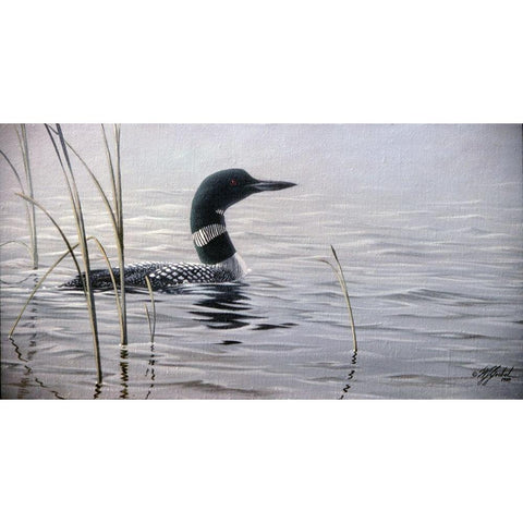 Emerging Loon White Modern Wood Framed Art Print by Goebel, Wilhelm