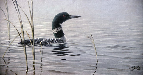 Emerging Loon Black Ornate Wood Framed Art Print with Double Matting by Goebel, Wilhelm