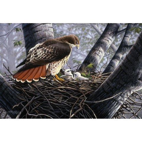 In The Nest Black Modern Wood Framed Art Print by Goebel, Wilhelm
