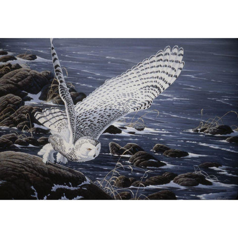 Winter Shore - Snowy Owl White Modern Wood Framed Art Print by Goebel, Wilhelm