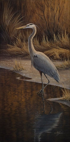 Heron Wading Black Ornate Wood Framed Art Print with Double Matting by Goebel, Wilhelm
