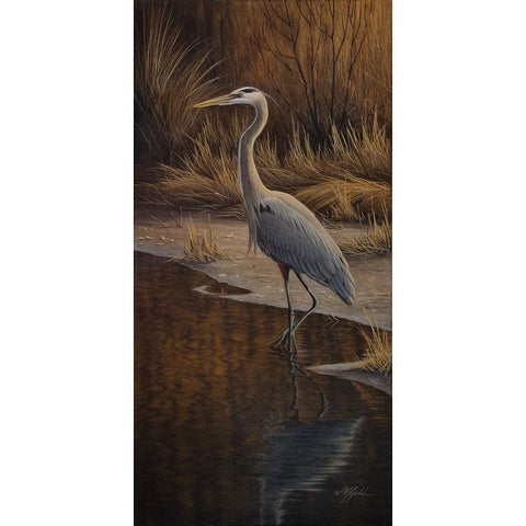 Heron Wading Black Modern Wood Framed Art Print by Goebel, Wilhelm