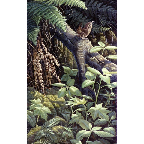 On A Limb Black Modern Wood Framed Art Print with Double Matting by Goebel, Wilhelm