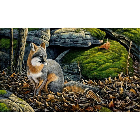 Grey Fox White Modern Wood Framed Art Print by Goebel, Wilhelm