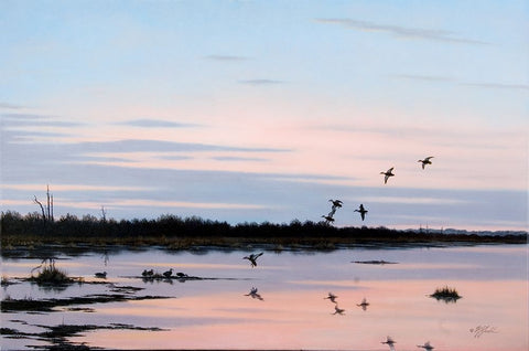 Sunset March Black Ducks White Modern Wood Framed Art Print with Double Matting by Goebel, Wilhelm