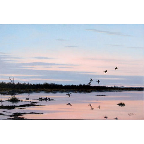 Sunset March Black Ducks Black Modern Wood Framed Art Print by Goebel, Wilhelm