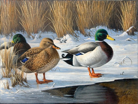 Wg220820002 Black Ornate Wood Framed Art Print with Double Matting by Goebel, Wilhelm