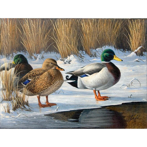 Wg220820002 Gold Ornate Wood Framed Art Print with Double Matting by Goebel, Wilhelm