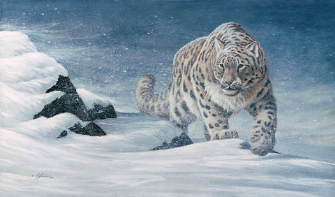 Stalking The Storm White Modern Wood Framed Art Print with Double Matting by Goebel, Wilhelm