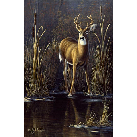 Whitetail Buck Gold Ornate Wood Framed Art Print with Double Matting by Goebel, Wilhelm