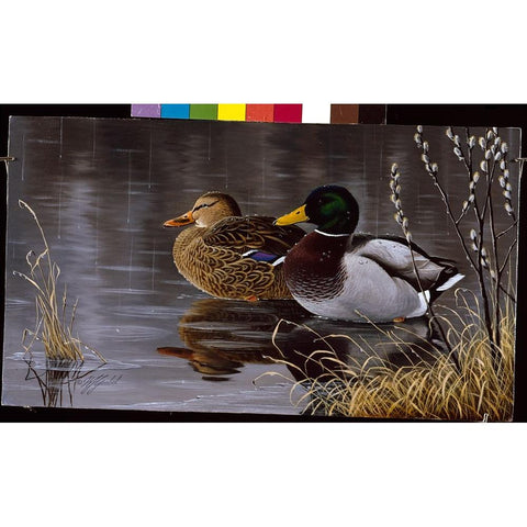 Spring Morning White Modern Wood Framed Art Print by Goebel, Wilhelm