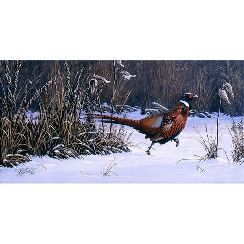 Heading For Cover Black Modern Wood Framed Art Print with Double Matting by Goebel, Wilhelm