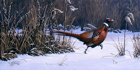 Heading For Cover Black Ornate Wood Framed Art Print with Double Matting by Goebel, Wilhelm