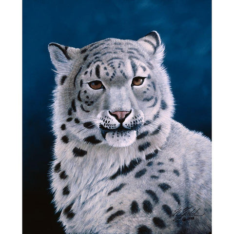 Young Snow Leopard Black Modern Wood Framed Art Print with Double Matting by Goebel, Wilhelm