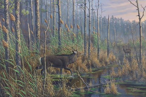 Closing The Gap-Maryland Sika Deer Black Ornate Wood Framed Art Print with Double Matting by Goebel, Wilhelm