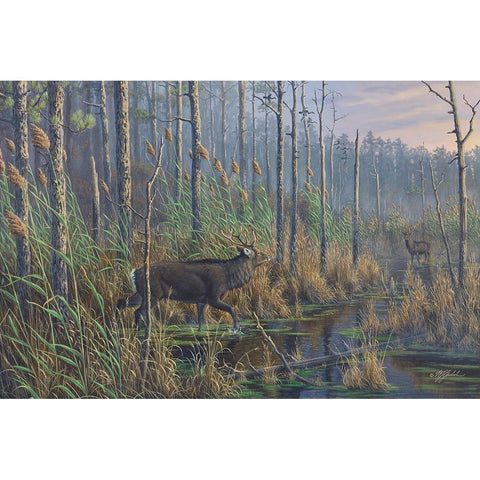 Closing The Gap-Maryland Sika Deer Gold Ornate Wood Framed Art Print with Double Matting by Goebel, Wilhelm