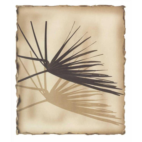 Tropic Palm 1 Black Modern Wood Framed Art Print with Double Matting by Avant Art