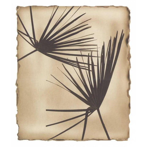 Tropic Palm 2 White Modern Wood Framed Art Print by Avant Art