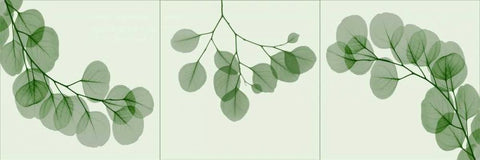 Leaf Triple in Green White Modern Wood Framed Art Print with Double Matting by Koetsier, Albert