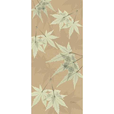 Leaves in Green on Tan Black Modern Wood Framed Art Print with Double Matting by Koetsier, Albert