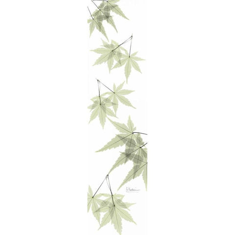Leaves in Green White Modern Wood Framed Art Print by Koetsier, Albert