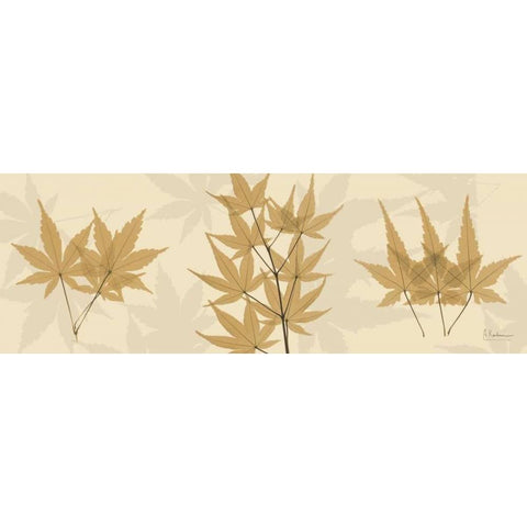 Leaves Tan on Beige Gold Ornate Wood Framed Art Print with Double Matting by Koetsier, Albert