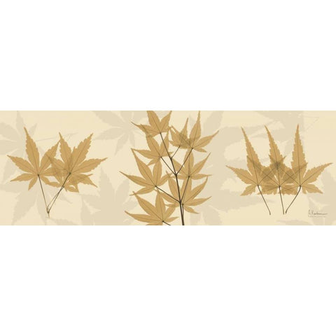 Leaves Tan on Beige White Modern Wood Framed Art Print by Koetsier, Albert