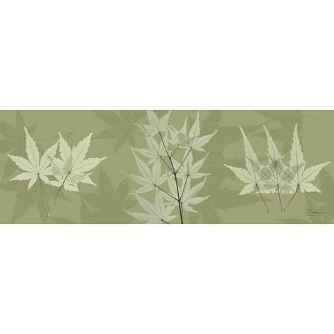 Leaves on Green White Modern Wood Framed Art Print by Koetsier, Albert