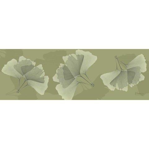 Leaves on Green 2 White Modern Wood Framed Art Print by Koetsier, Albert