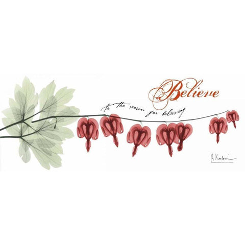 Bleeding Heart Believe White Modern Wood Framed Art Print by Koetsier, Albert