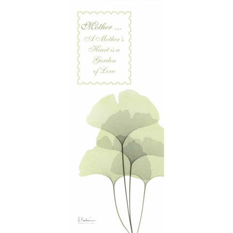 Ginkgo - Mother White Modern Wood Framed Art Print by Koetsier, Albert