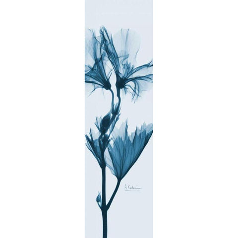 Geranium in Blue White Modern Wood Framed Art Print by Koetsier, Albert