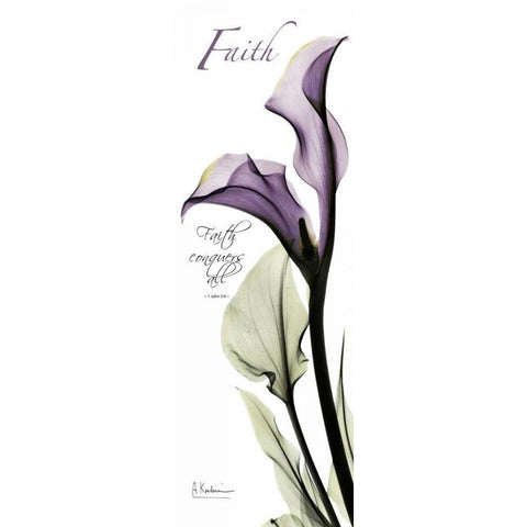 Calla Lily in Purple - Faith Black Modern Wood Framed Art Print with Double Matting by Koetsier, Albert