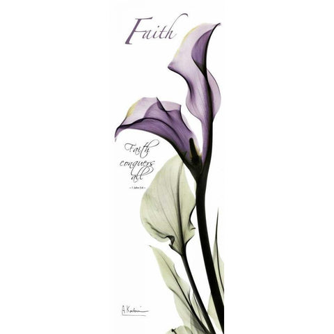 Calla Lily in Purple - Faith Black Modern Wood Framed Art Print by Koetsier, Albert